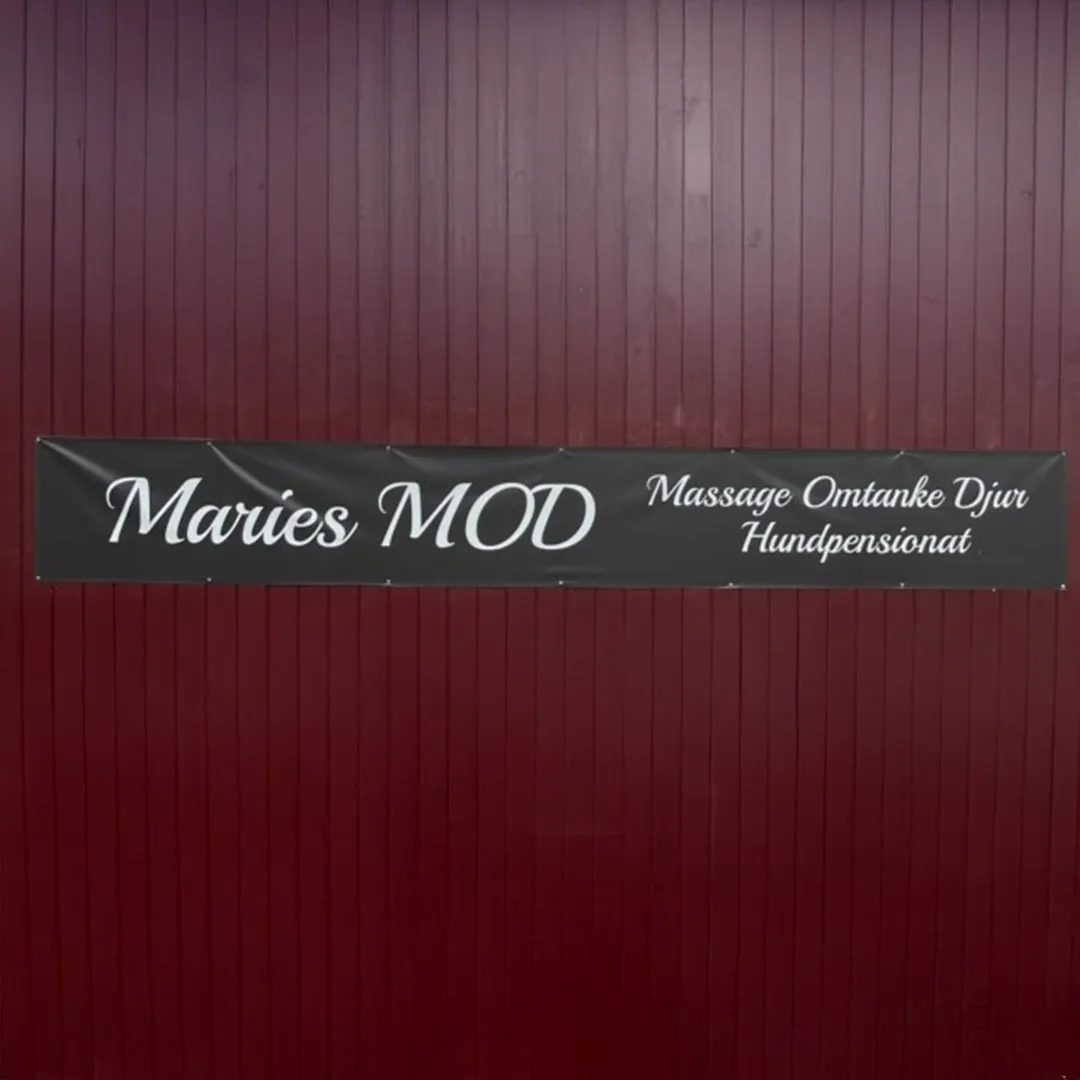 Maries MOD